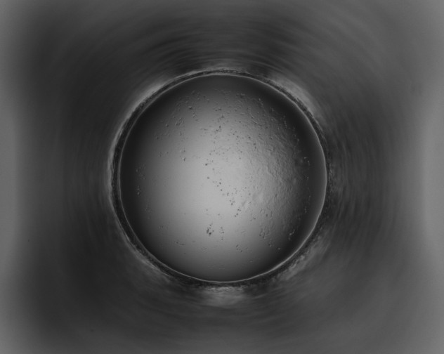 X0000095951135200801111344