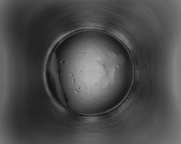 X0000095951136200801111344