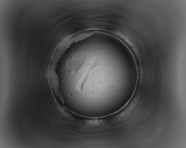 X0000095951137200801111344