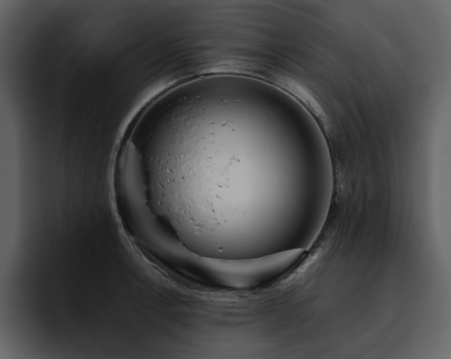 X0000095951138200801111344