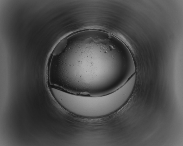 X0000095951140200801111344