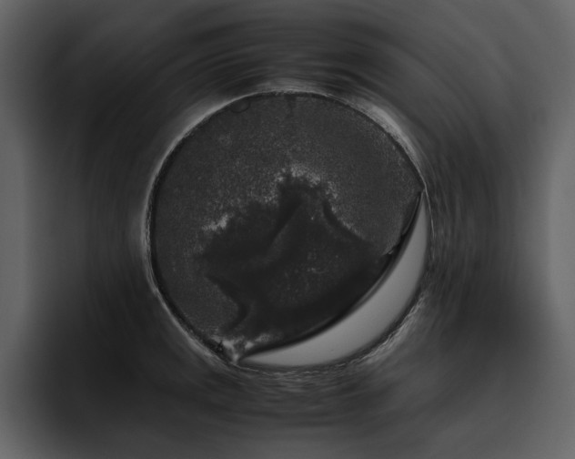 X0000095951141200801111344