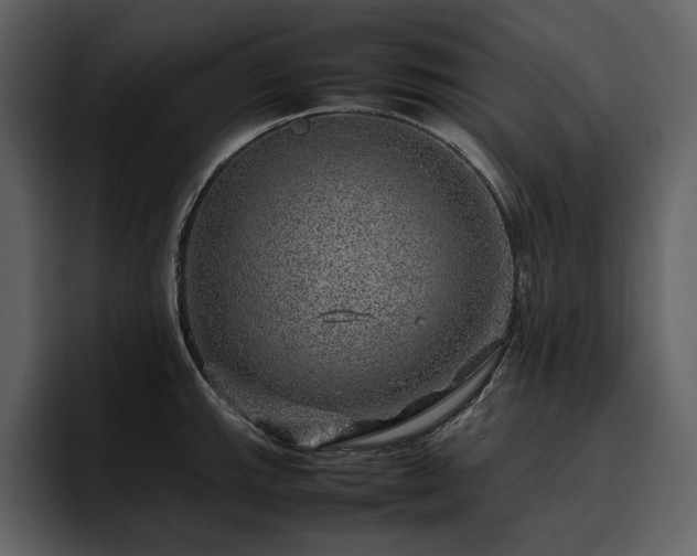 X0000095951143200801111345
