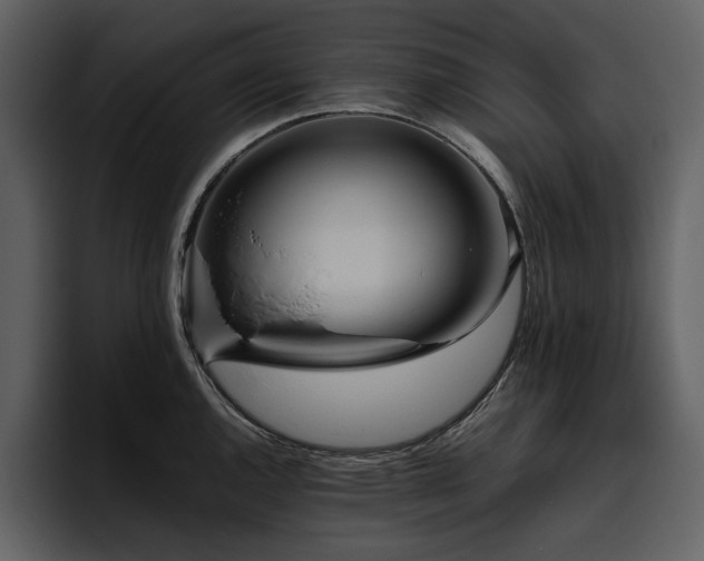 X0000095951144200801111345