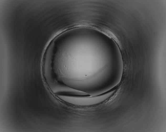 X0000095951146200801111345