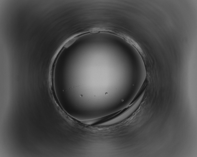 X0000095951148200801111345