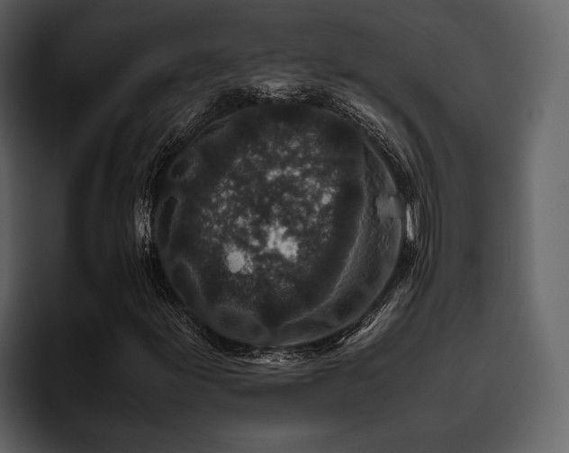 X0000095951155200801111344