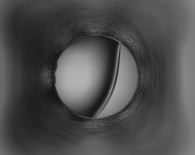 X0000095951156200801111344