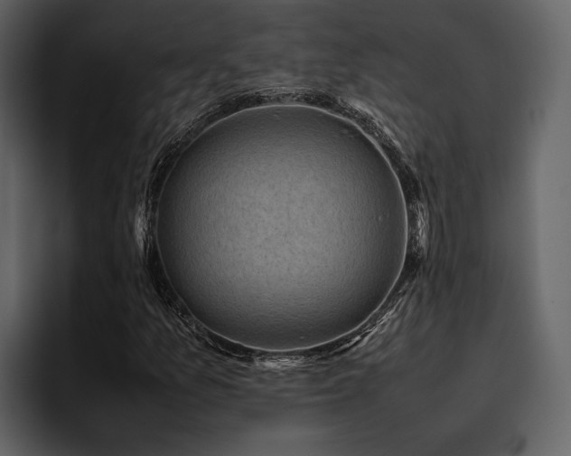 X0000095951157200801111344