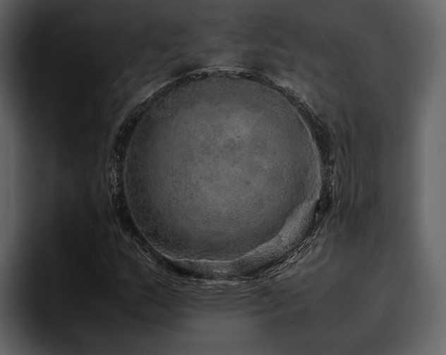 X0000095951159200801111344