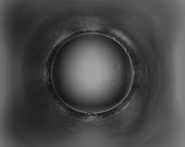 X0000095951160200801111344