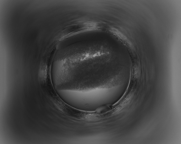 X0000095951161200801111344