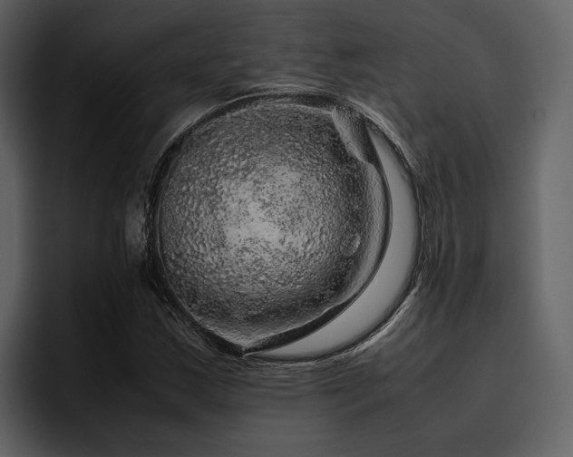 X0000095951163200801111344
