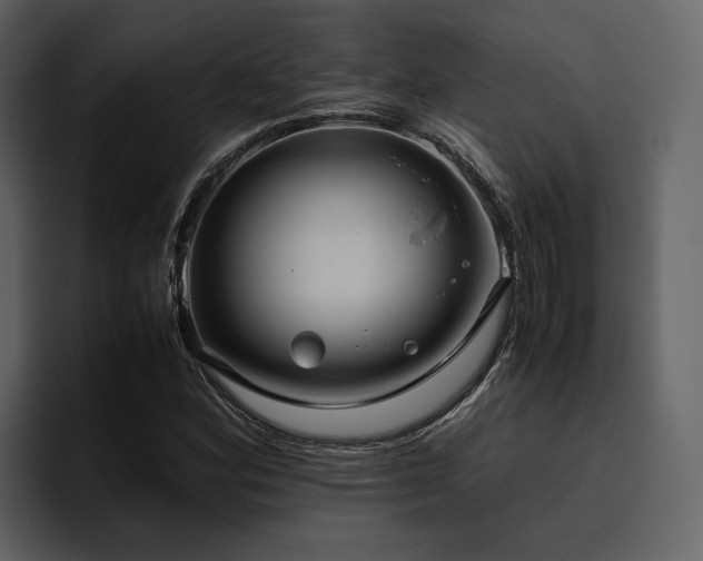 X0000095951164200801111344