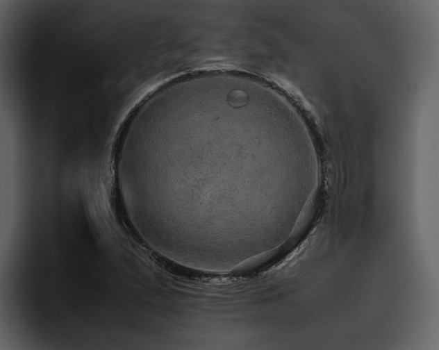 X0000095951167200801111344