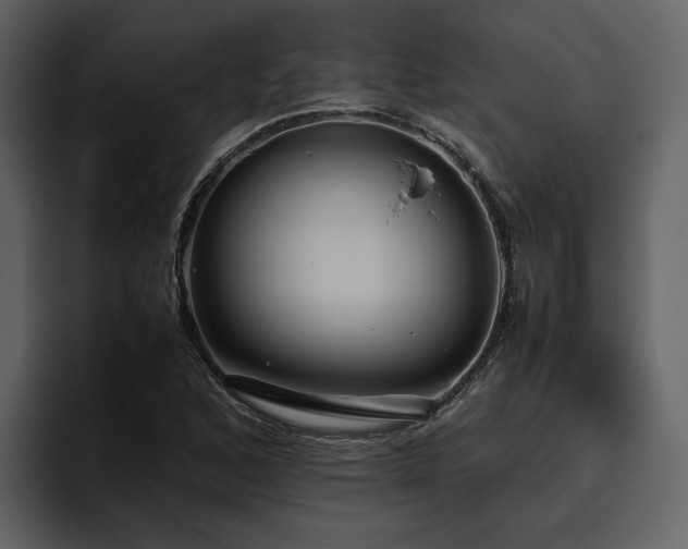 X0000095951168200801111344