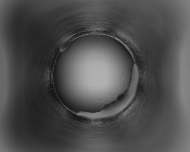 X0000095951169200801111344