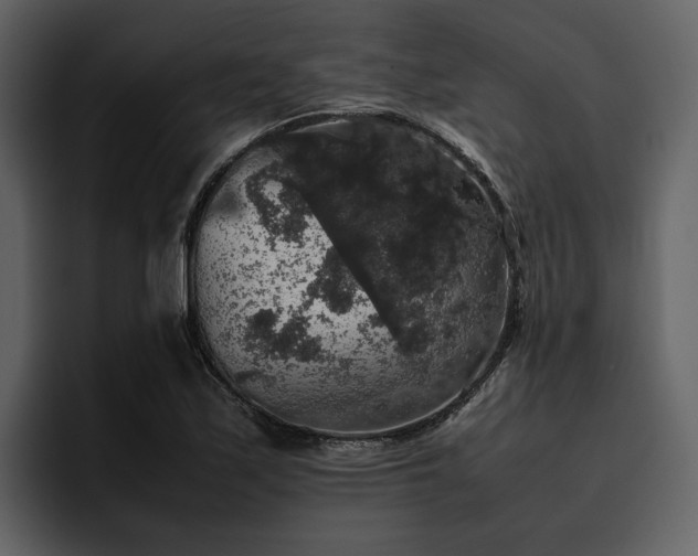 X0000095951171200801111344