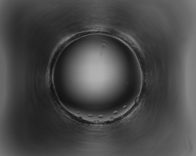 X0000095951172200801111344