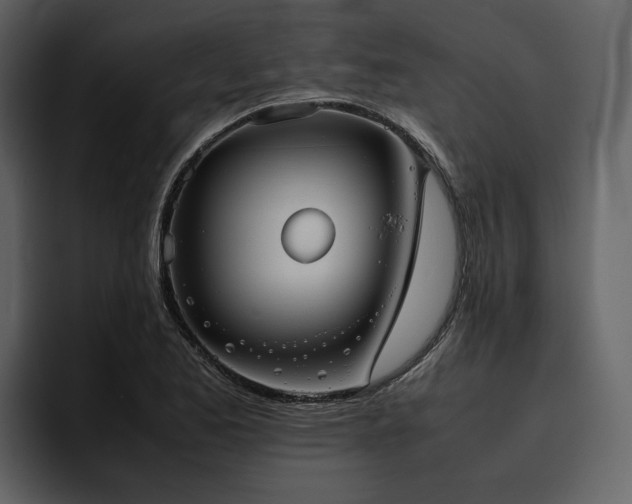 X0000095951173200801111344