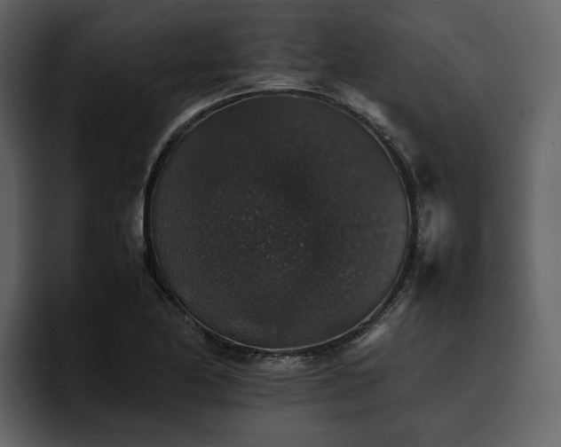 X0000095951174200801111344