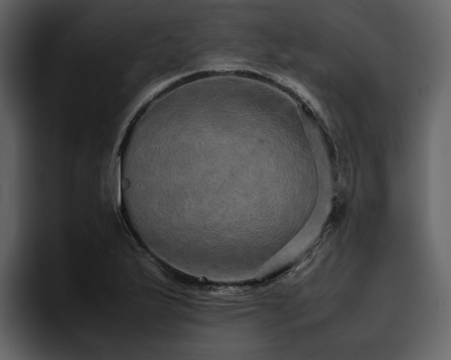 X0000095951175200801111344