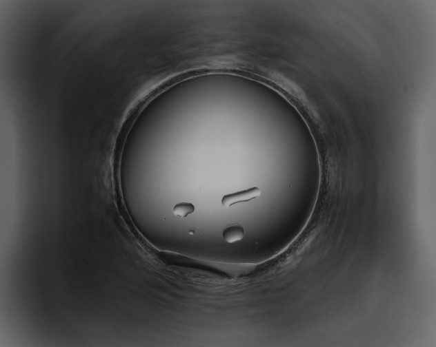 X0000095951176200801111344