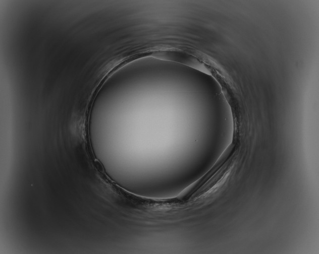 X0000095951177200801111344