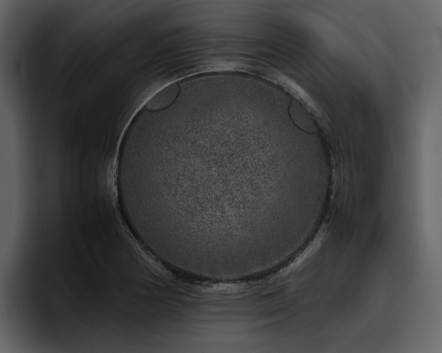 X0000095951178200801111344