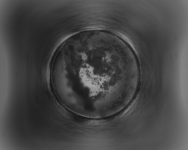 X0000095951179200801111344
