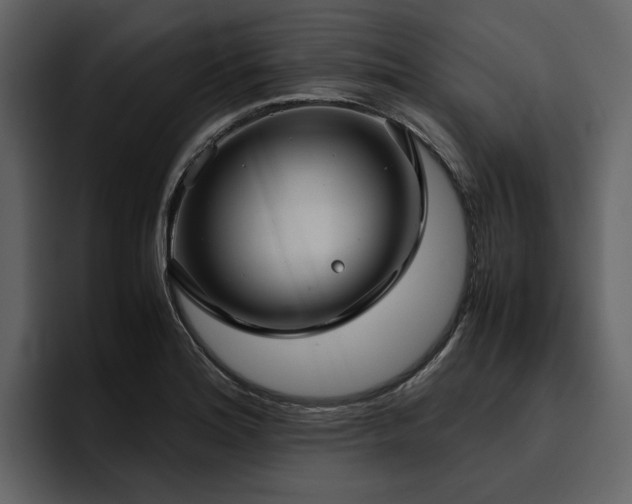 X0000095951180200801111344