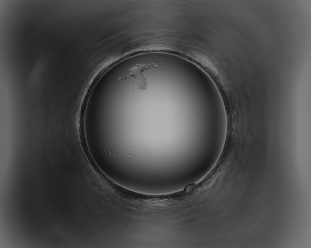X0000095951181200801111344