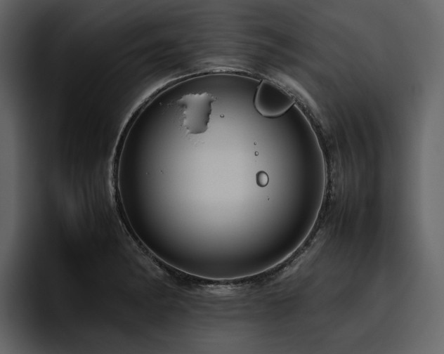 X0000095951182200801111344