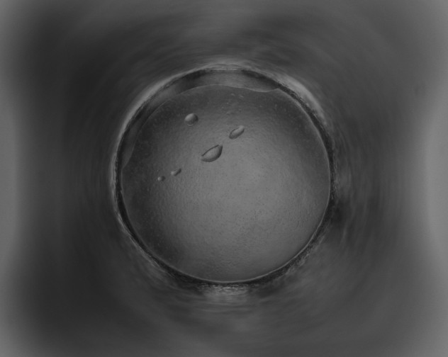 X0000095951183200801111344