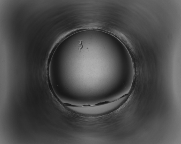 X0000095951184200801111344
