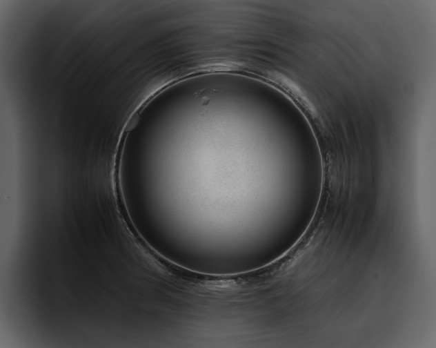 X0000095951186200801111344