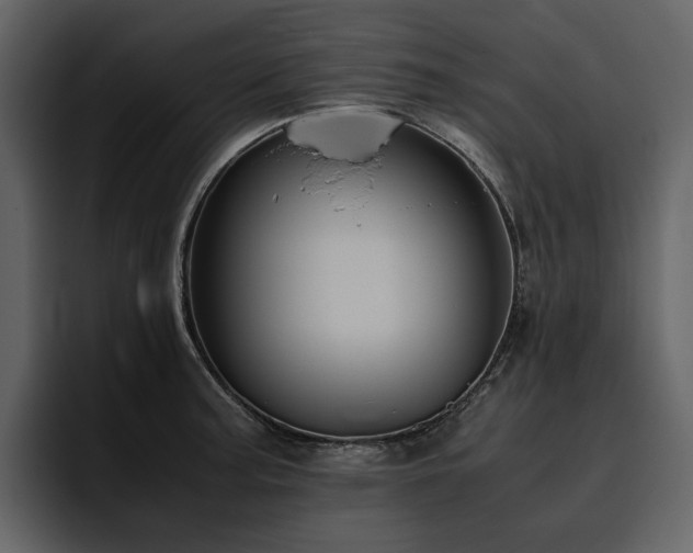 X0000095951187200801111344