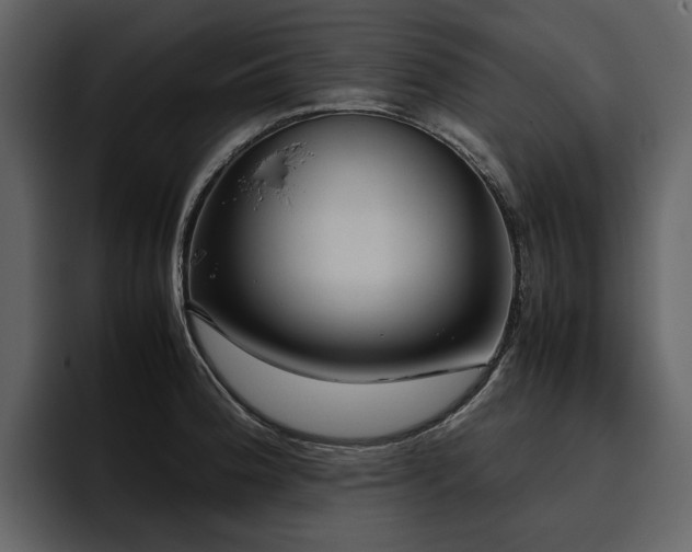 X0000095951188200801111344