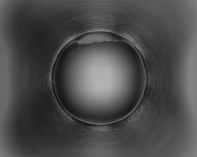 X0000095951189200801111344