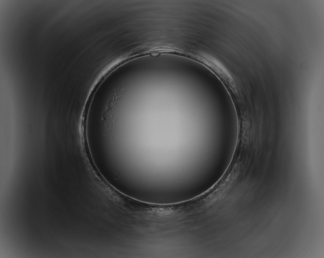 X0000095951190200801111344