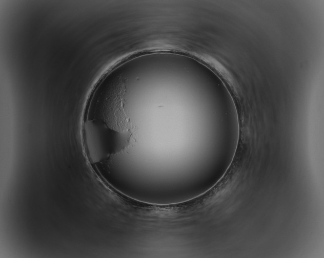 X0000095951191200801111344