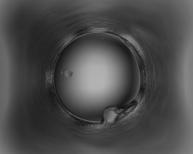 X0000095951193200801111343