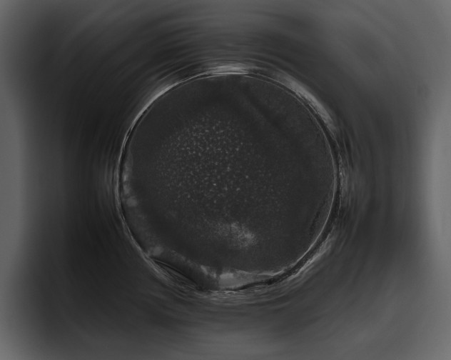 X0000095951194200801111343