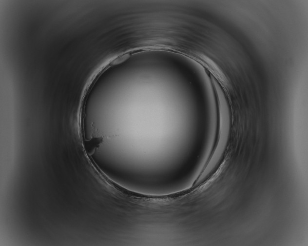 X0000095951196200801111343