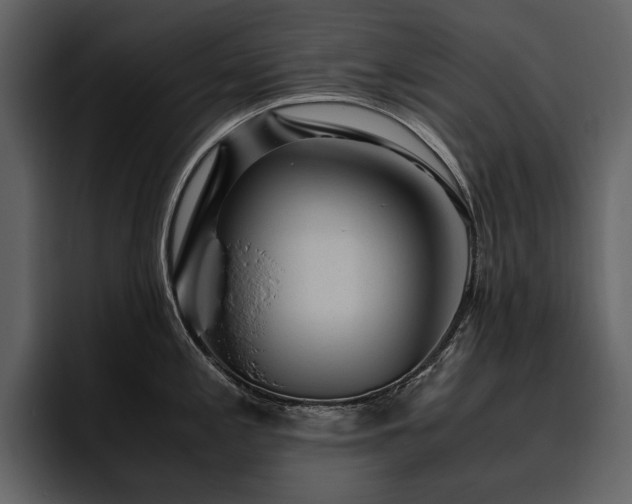 X0000095951197200801111343