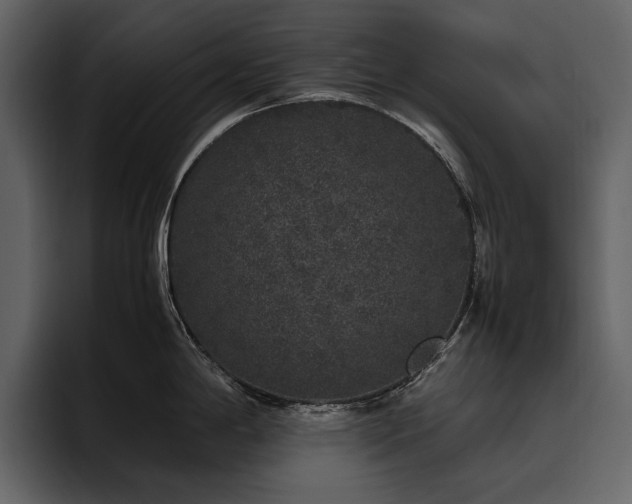 X0000095951198200801111343