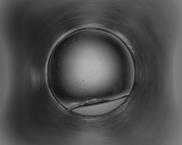 X0000095951199200801111343