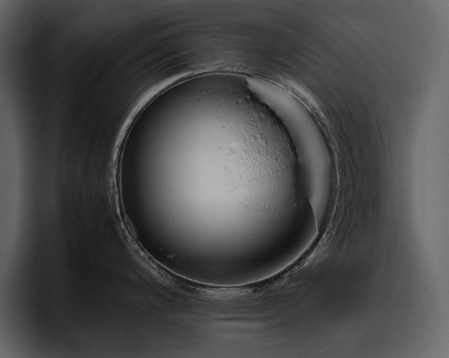 X0000095951200200801111343