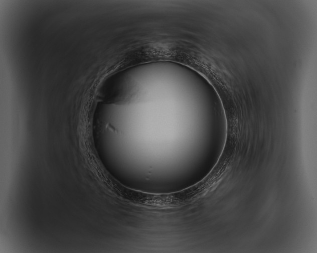 X0000095951201200801111343