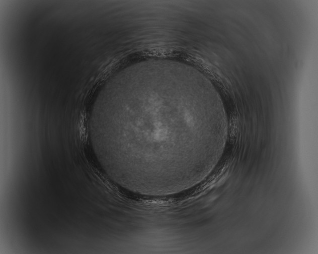 X0000095951202200801111343